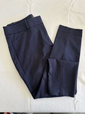 LOFT Navy Skinny Dress Pants